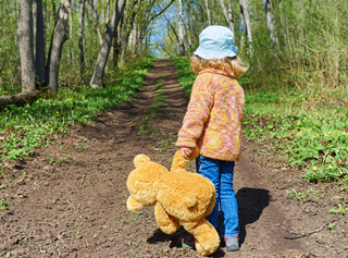 Teddy walk